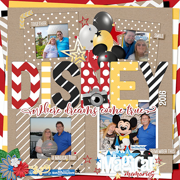 DW-Cover