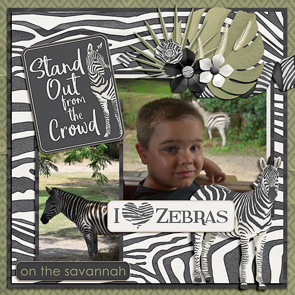 On-Safari-Zebra