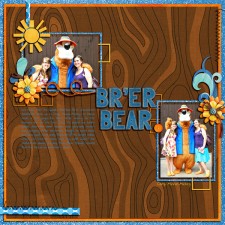 024-Brer-Bear.jpg