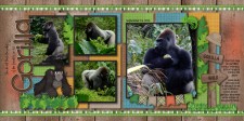 Gorilla-web1.jpg