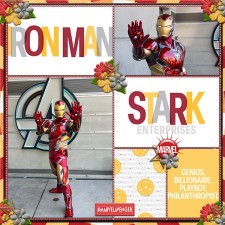 Park_Pocket_Iron_Man.jpg