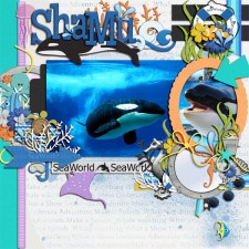 Shamu2.jpg