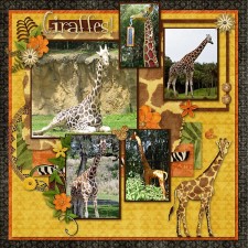 WDW0410-Giraffeweb.jpg