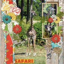 Wild-Things---Core-Bundle.jpg