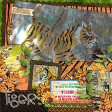 tigers2.jpg