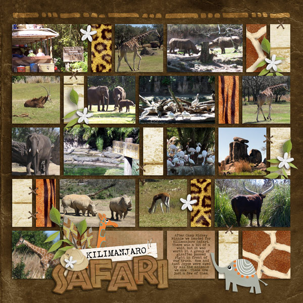 Safari2009-SM