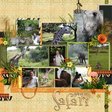 ak_safari_right1.jpg
