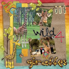 wild_4_giraffes_web.jpg
