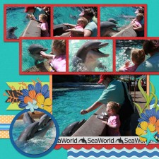 SeaWorld_Dolphins_Right.jpg