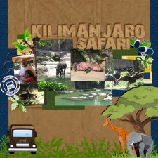 KIlimanjaro_side_1_-2008_copy.jpg