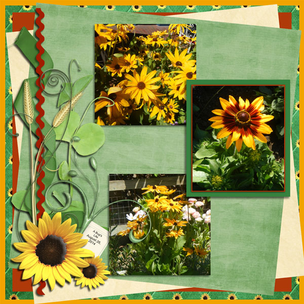 MS_SL_125_Sunflowers_in_A_Bug_s_Life600