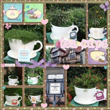 Tea_Garden.jpg