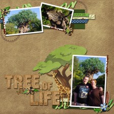tree-of-life-web.jpg