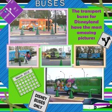 Buses.jpg